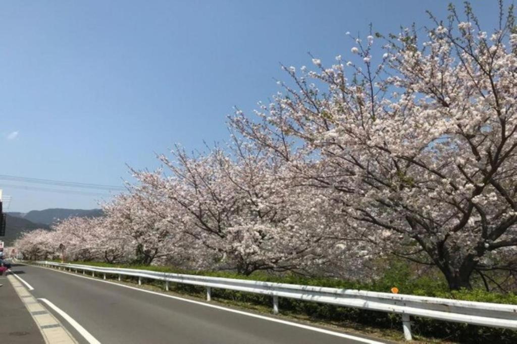 Business Hotel Kawakami Kumano Exteriör bild